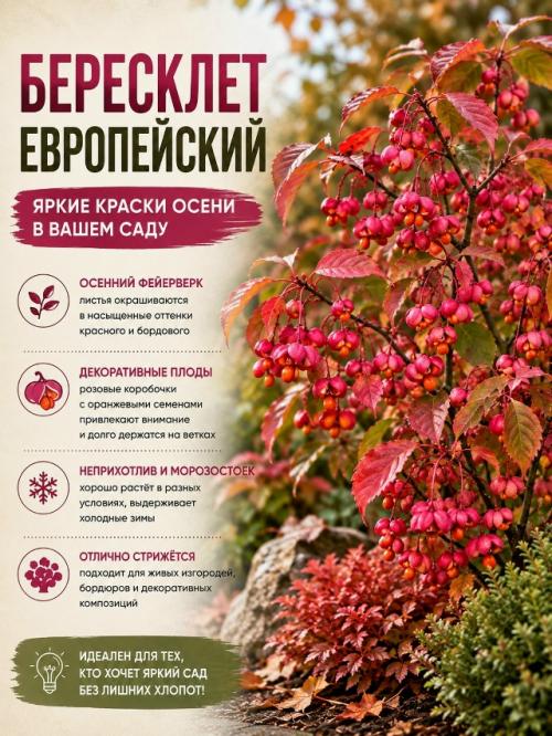 Осенью сад может быть не менее красивым, чем летом. 03 Осенью сад может быть не менее красивым, чем летом. 03