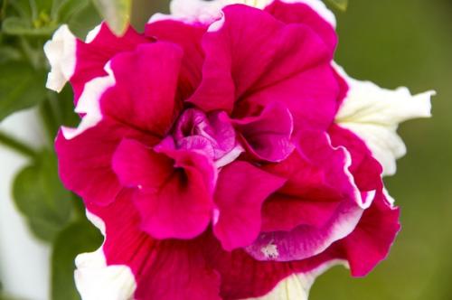 Прислала подписчица сообщества. 02