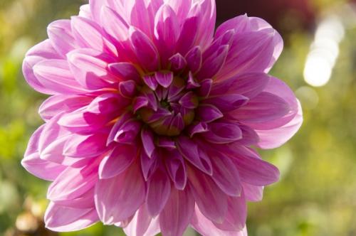 Прислала подписчица сообщества. 04