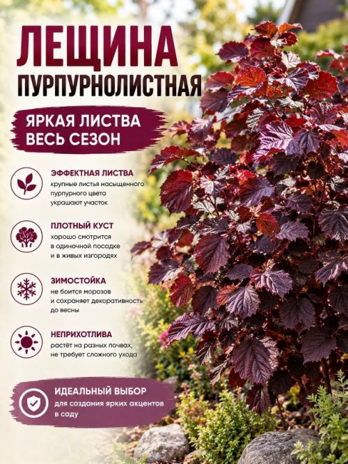 Осенью сад может быть не менее красивым, чем летом. 04 Осенью сад может быть не менее красивым, чем летом. 04