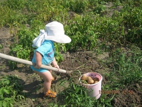 Как приятна их помощь и забота.