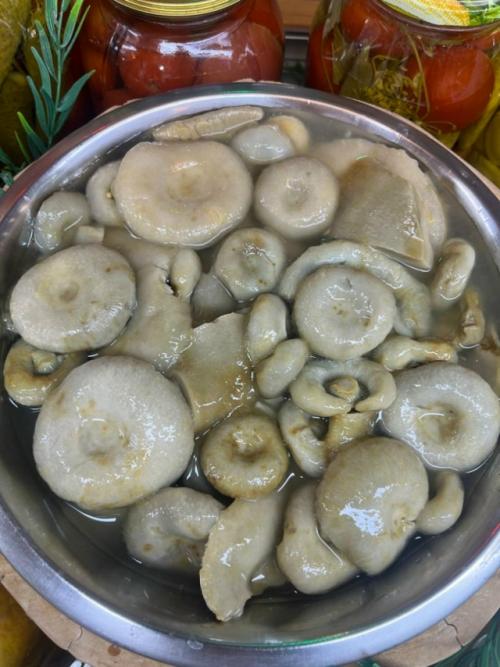 Солёные грузди - как вкусно засолить. 01 Солёные грузди - как вкусно засолить. 01