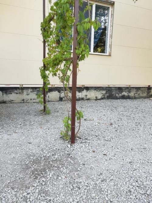 Автор: Александр шуриманов. 07