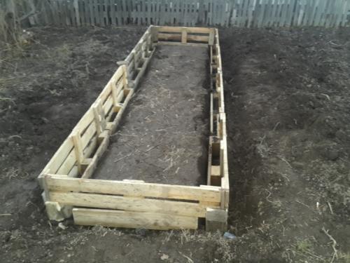 Автор: Алексей Чуев. 02