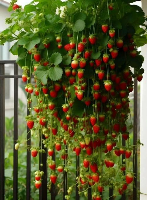 Доводилось ли вам встречать что-то такое же красивое? 
