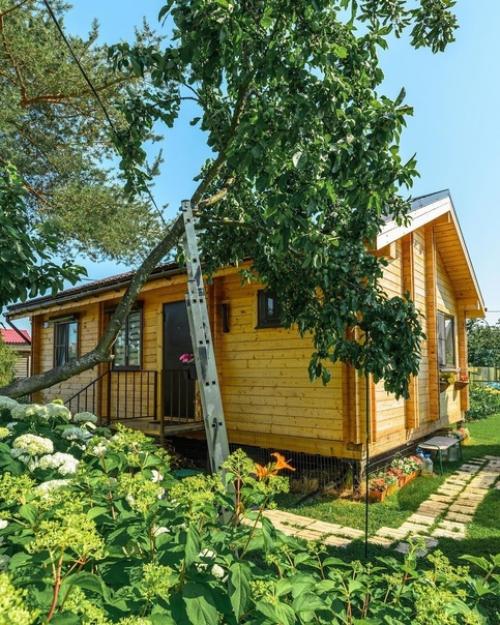 Дача - это вам не квартира!