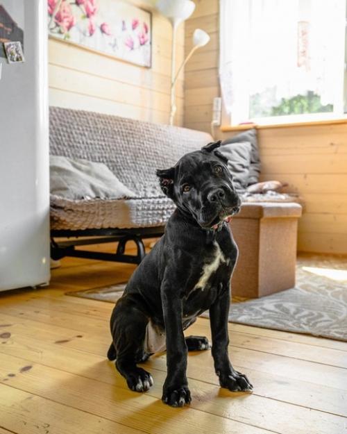 Дача - это вам не квартира! 01