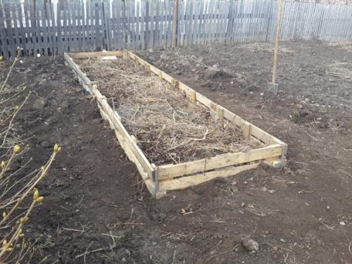 Автор: Алексей Чуев. 04