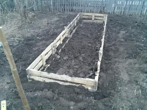 Автор: Алексей Чуев. 03