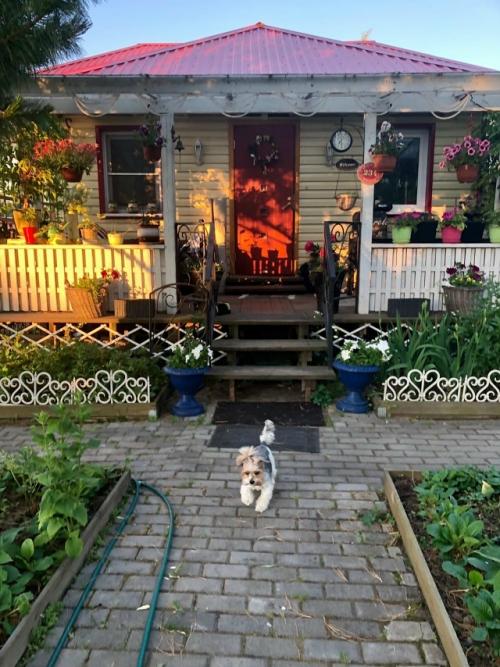 Любимый райский уголок.  