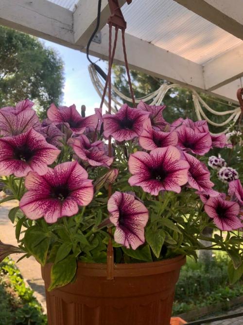 Любимый райский уголок. 04