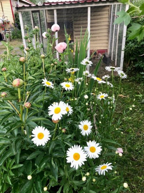 Любимый райский уголок. 08