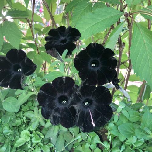 Любимый райский уголок. 03