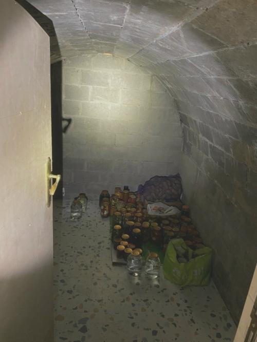 Соорудили погреб на даче. 07