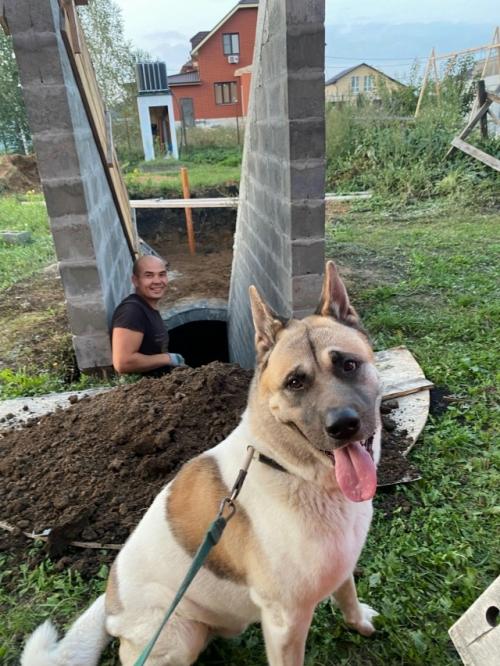 Соорудили погреб на даче. 04