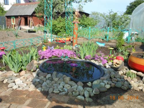 Автор фото: Елена Кузнецова. 04