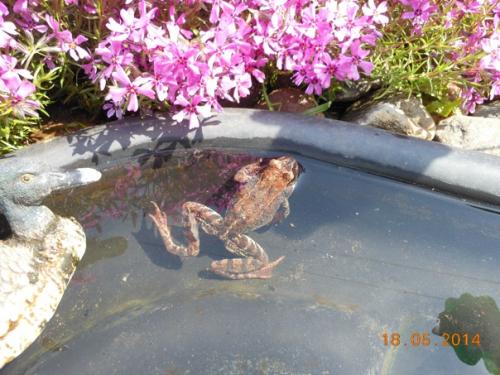 Автор фото: Елена Кузнецова. 05