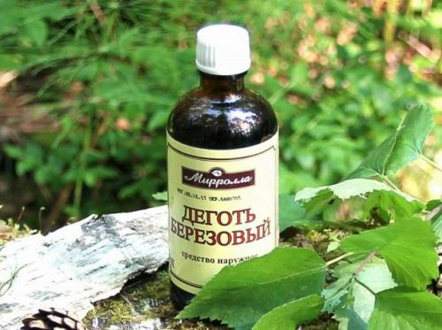 Берёзовый дёготь: эффективные способы применения в саду. 02