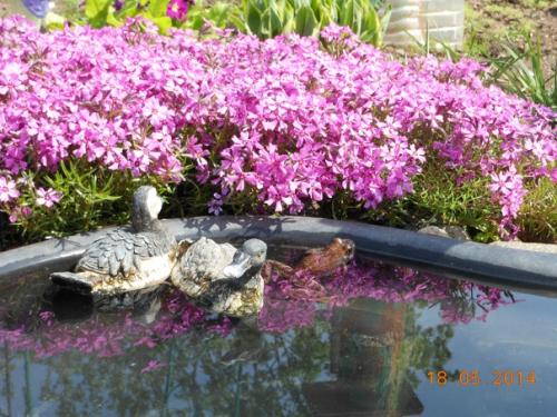 Автор фото: Елена Кузнецова. 03