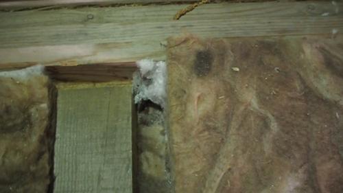 В холода решил проверить потолок на предмет утечек тепла.