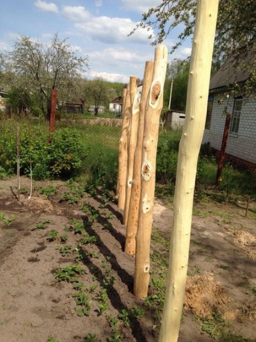 Автор: Сергей кузнецов. 01