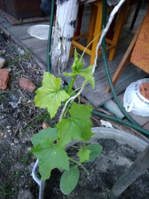 Кто что это знает?