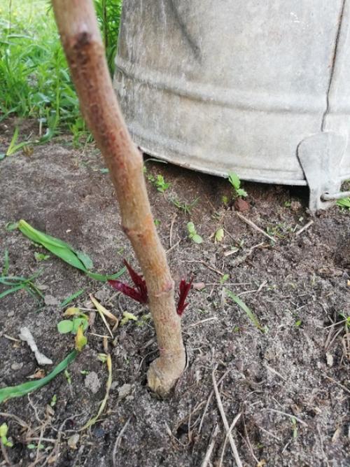 Всем здравствуйте, подскажите, что делать.