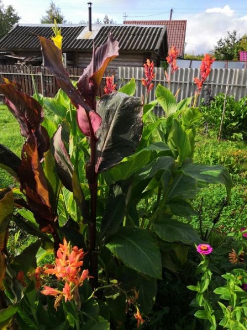 Прислала подписчица сообщества. 06