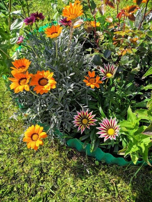 Прислала подписчица сообщества. 03