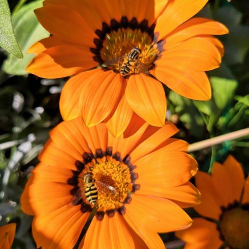 Прислала подписчица сообщества. 02