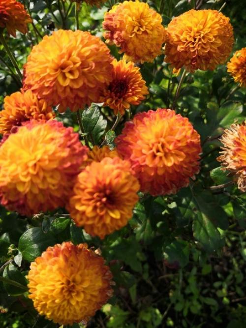 Прислала подписчица сообщества. 01