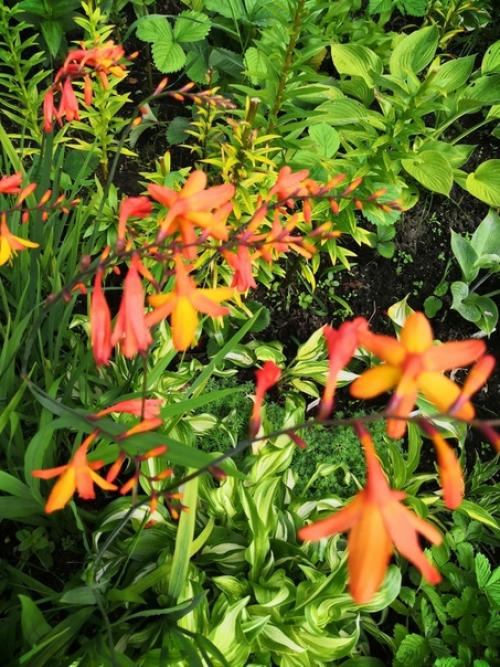 Прислала подписчица сообщества. 08