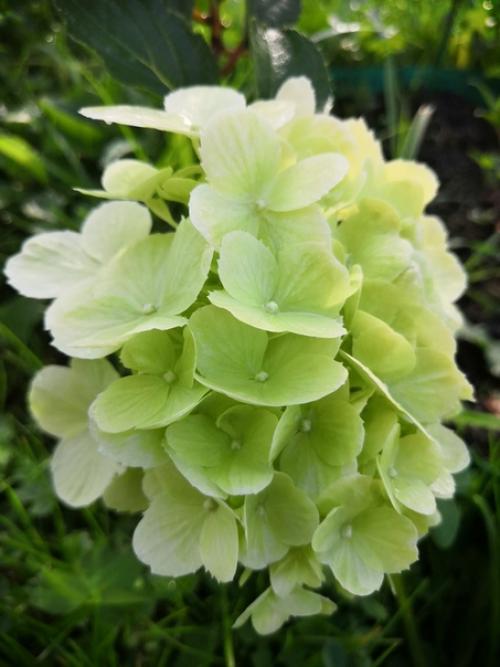 Прислала подписчица сообщества. 07