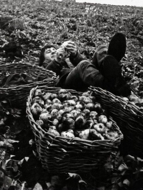 Oceнью нa Кapтошку eздили пpaктичecки вce, от школьников до работников нии с ученой степенью. 01