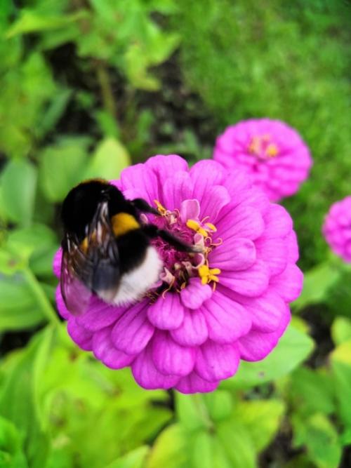 Прислала подписчица сообщества.