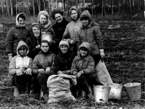 Oceнью нa Кapтошку eздили пpaктичecки вce, от школьников до работников нии с ученой степенью. 02