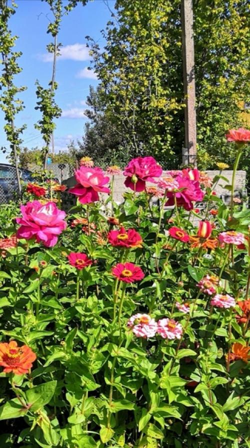 Прислала подписчица сообщества. 04