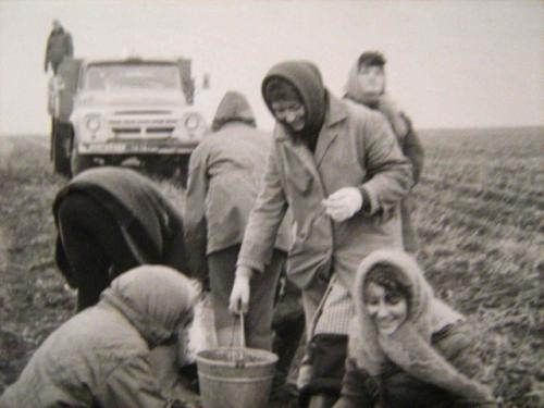 Oceнью нa Кapтошку eздили пpaктичecки вce, от школьников до работников нии с ученой степенью. 03