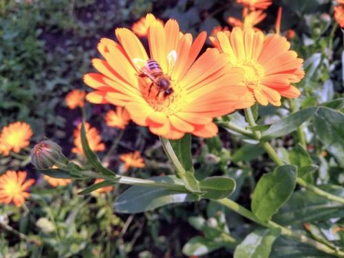 Тому зимой не холодно, у кого есть тёплые воспоминания. 05