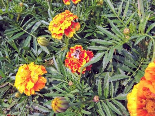 Тому зимой не холодно, у кого есть тёплые воспоминания.