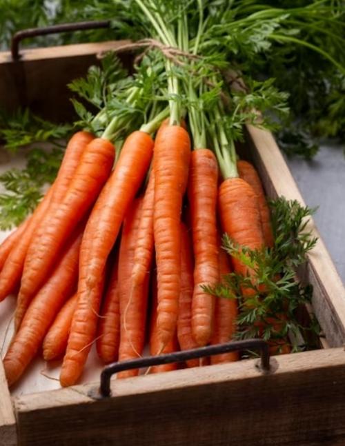 Как обеспечить длительное хранение моркови, избегая увядания и гниения? 
