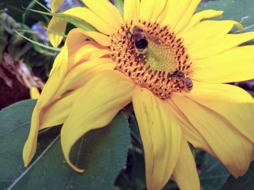 Тому зимой не холодно, у кого есть тёплые воспоминания. 04