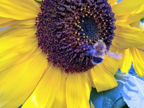 Тому зимой не холодно, у кого есть тёплые воспоминания. 03