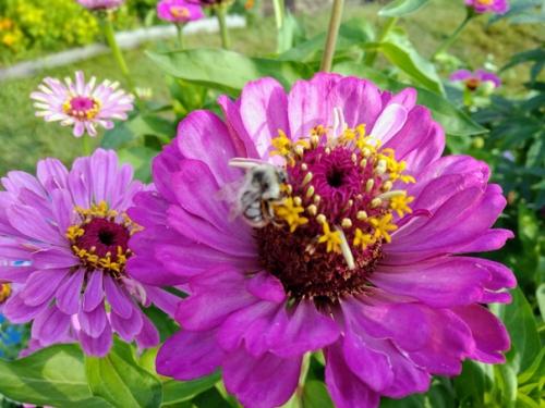 Тому зимой не холодно, у кого есть тёплые воспоминания. 02