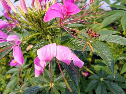 Тому зимой не холодно, у кого есть тёплые воспоминания. 01