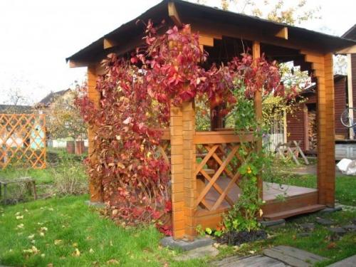 Беседка и времена года. 01