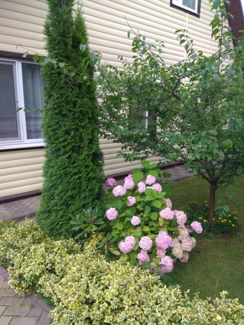 В 2012 году купили дачу. 04