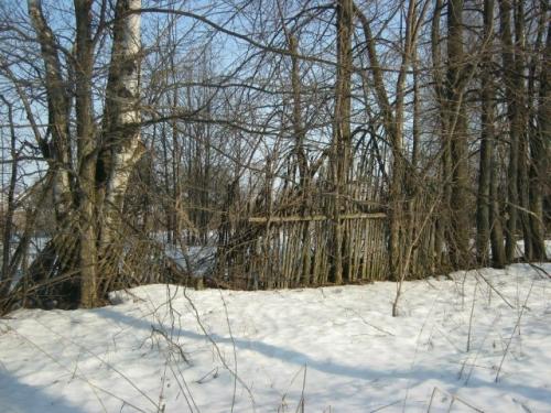 Судили деревню (а та безответна). 04