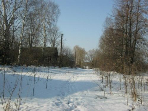 Судили деревню (а та безответна). 02