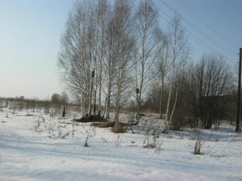 Судили деревню (а та безответна). 07